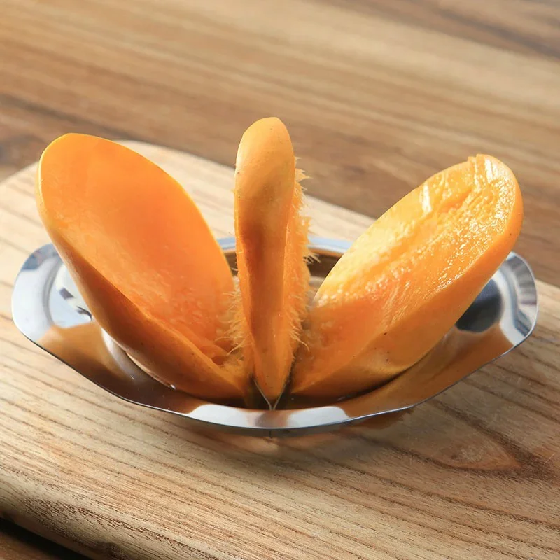 Cortador de mango de acero ino - Apple Corer Slicer reseña y precio