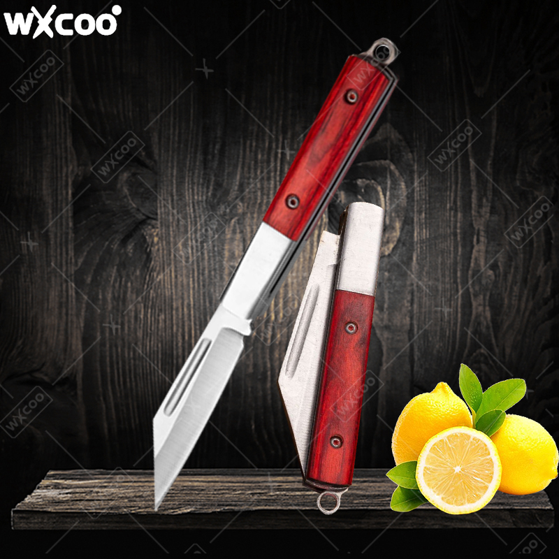 Cuchillo de bolsillo de acero  - Kitchen Gadgets Latest reseña y precio